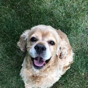 Meet your Posher, Meredith